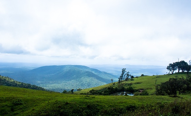扎于联赛前 扎于联赛前