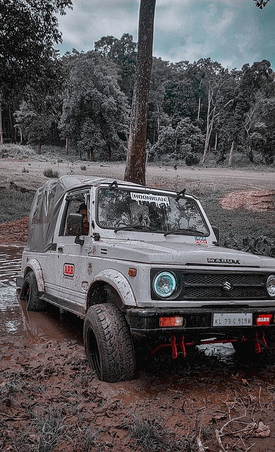 持謹慎態度 持謹慎態度